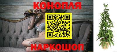 спиды Ярославль