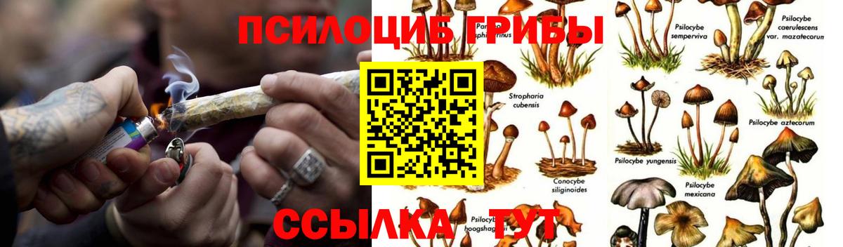 Москва  Псилоцибиновые грибы мухоморы  Вход с VPN 